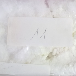 Cocaine Powder – Purity 99,8%