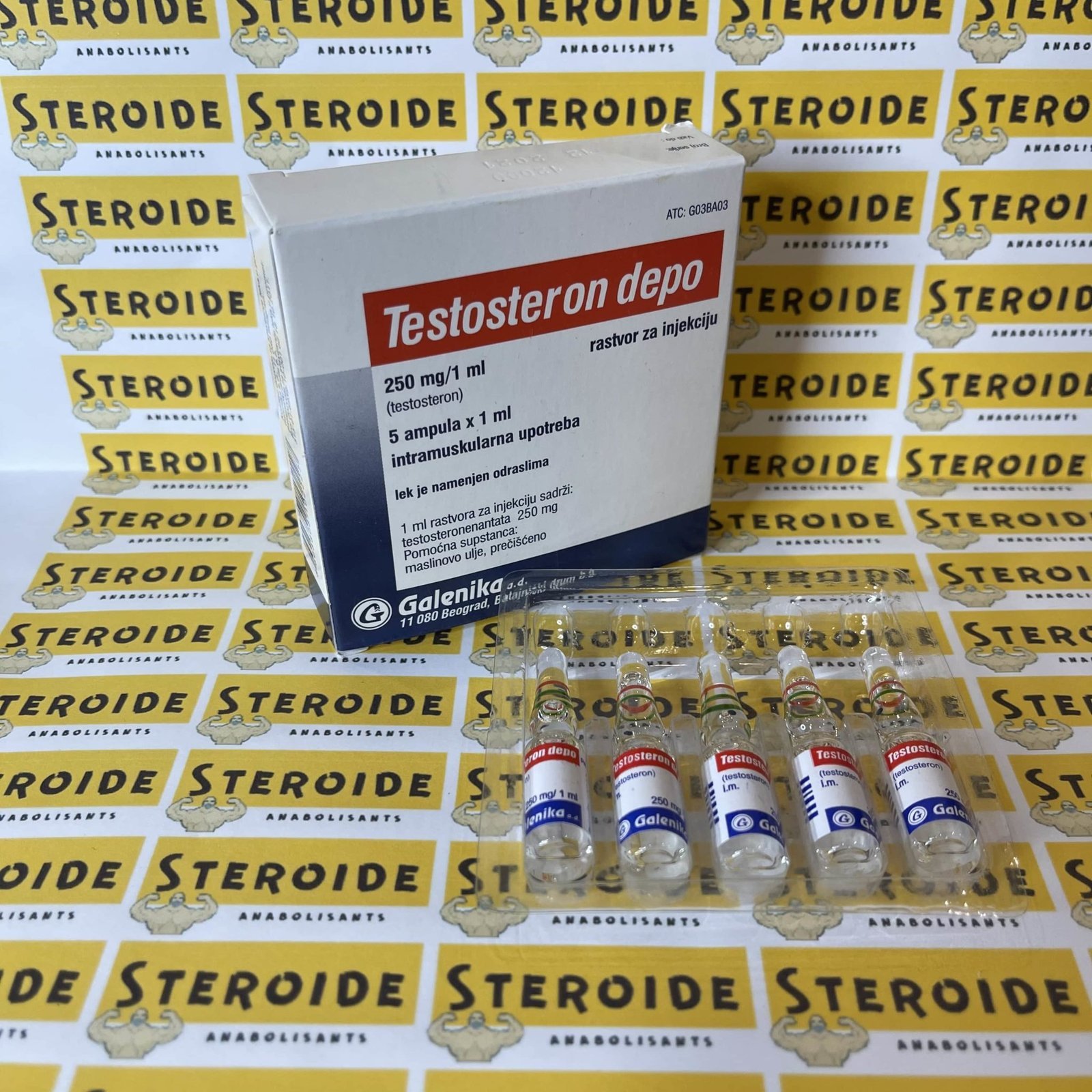 Testosterone Enanthate 250mg/ml 1ml Injection